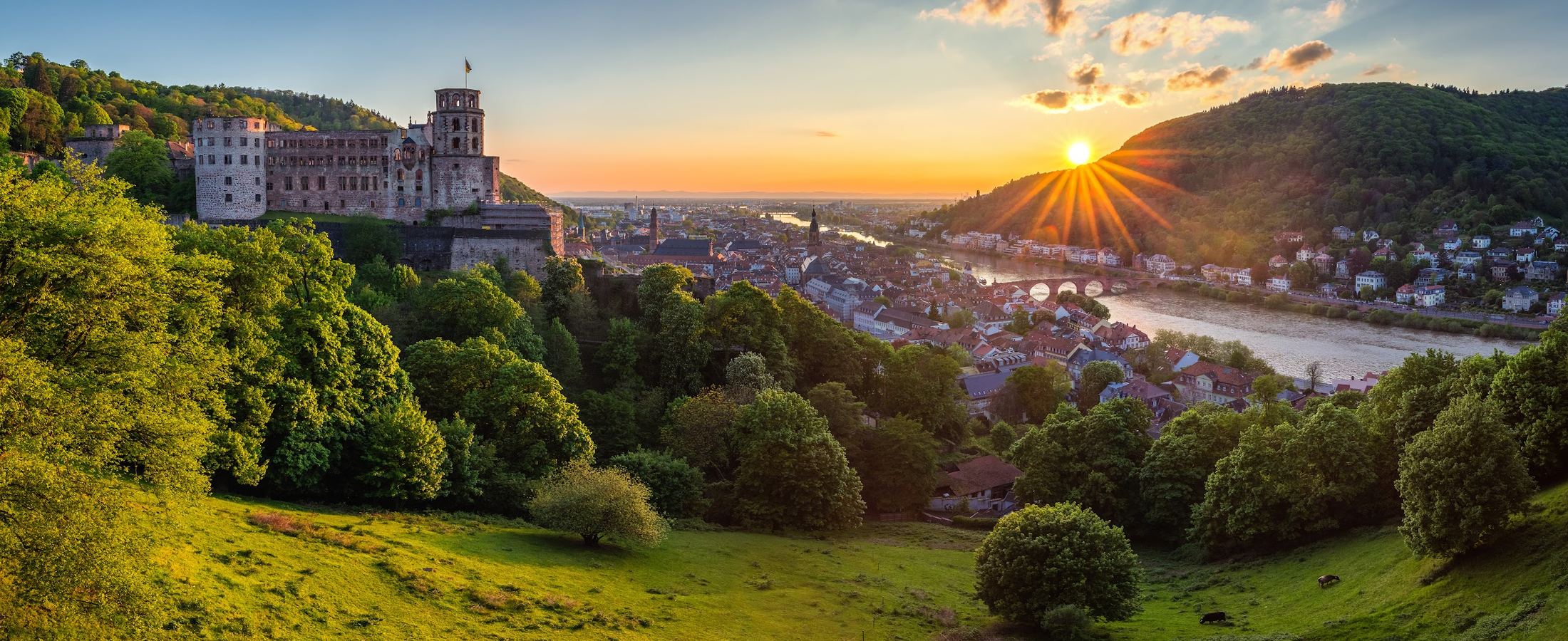 Castelo de Heidelberg e o vale do rio Neckar no outono