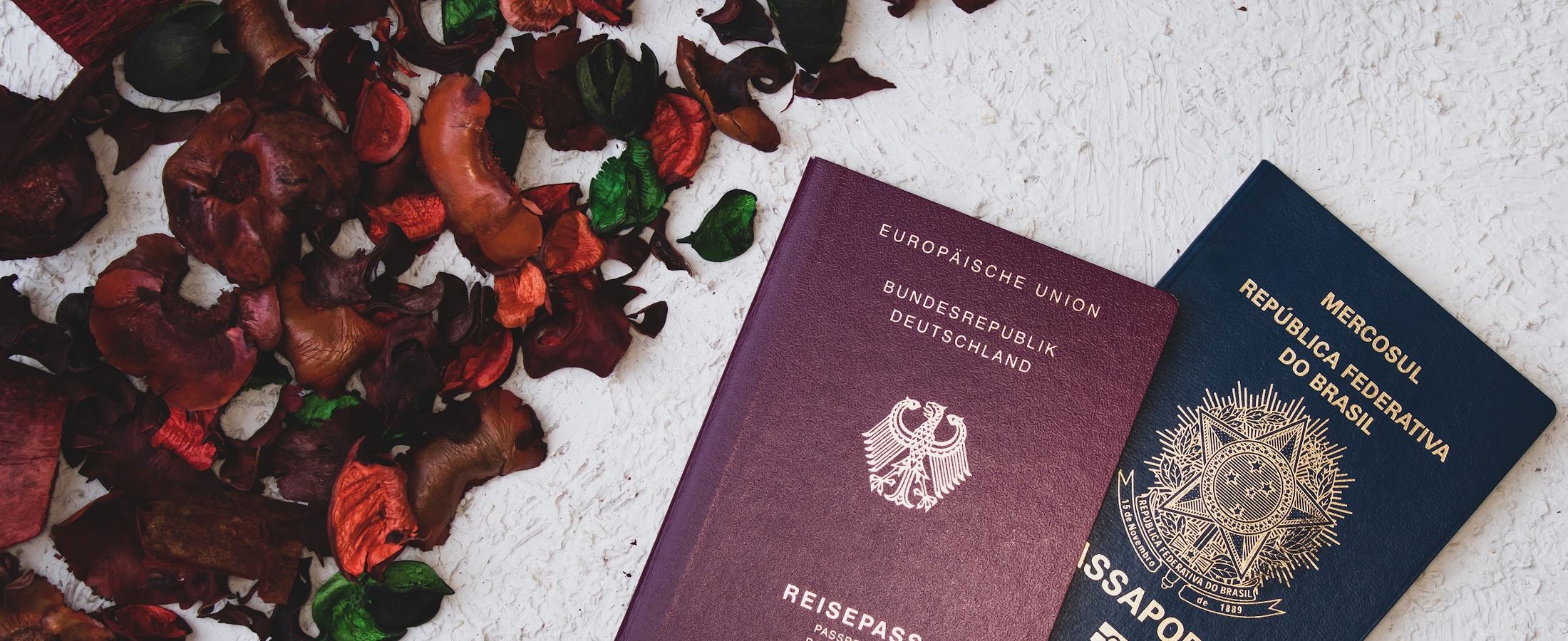 Passaportes alemão e brasileiro sobre folhas de outono